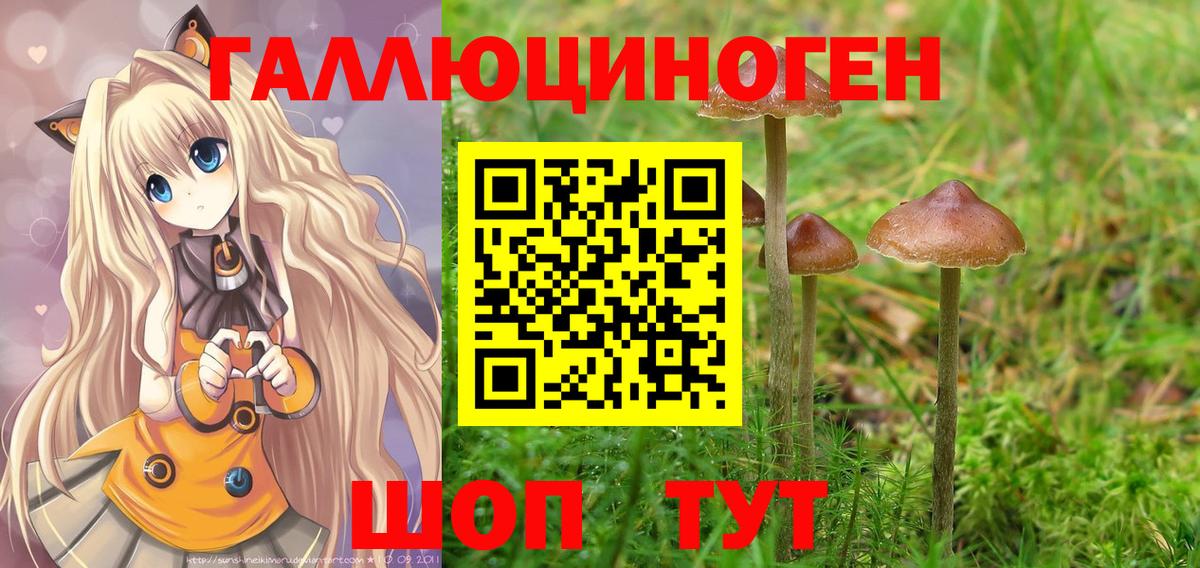 Галлюциногенные грибы ЛСД Свободный