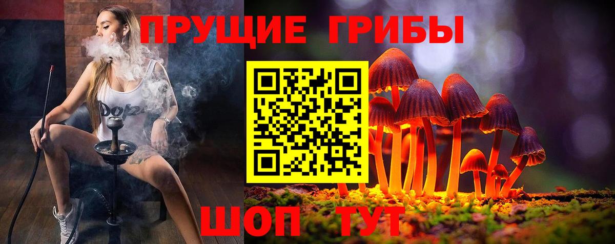 как найти закладки  Галлюциногенные грибы ЛСД  Вход с VPN  Свободный 