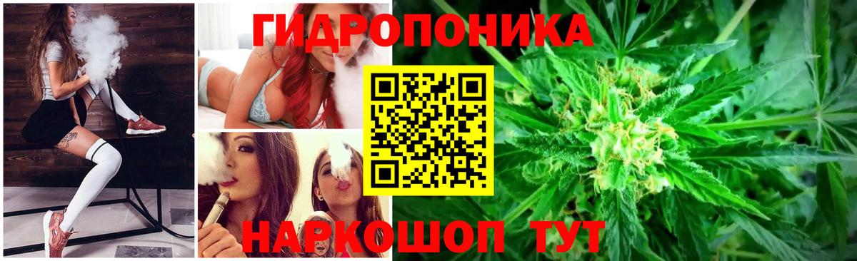 Каннабис планчик  Бошки Шишки White Widow  Шишки марихуана VHQ  Вход с VPN  Свободный 